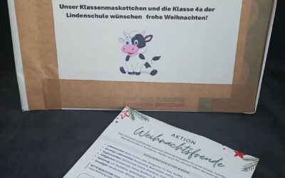 Weihnachtspakete der Klasse 4a für die Aktion Weihnachtsfreude Rumänien