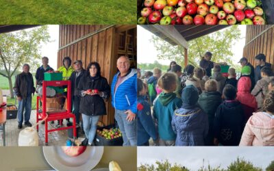 Apfeltag in Hohenacker – Ein erlebnisreicher Tag rund um den Apfel 