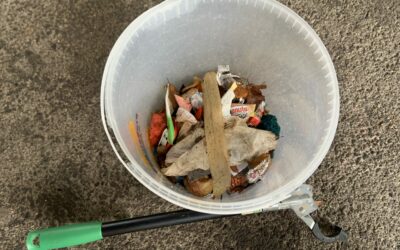 Die Drachen sammeln Müll