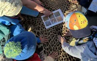 Kleine Waffelbäcker in der Wilhelma